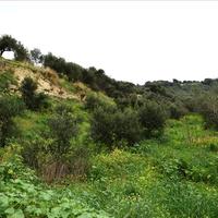 Земельный участок в Греции