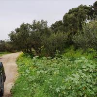 Земельный участок в Греции