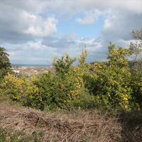 Земельный участок в Греции