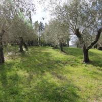 Земельный участок в Греции