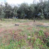 Земельный участок в Греции