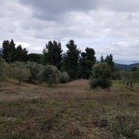 Land plot in Greece