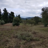 Land plot in Greece