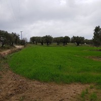 Land plot in Greece