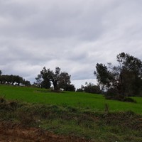 Land plot in Greece