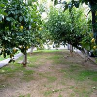 Townhouse in Greece, 234 sq.m.