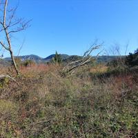 Land plot in Greece