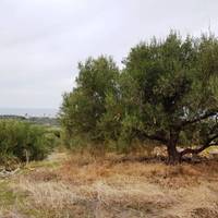 Земельный участок в Греции