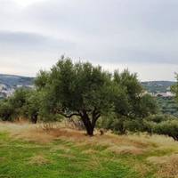 Земельный участок в Греции