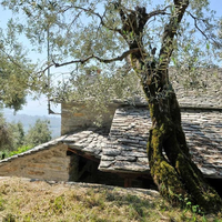 Other in Greece, 100 sq.m.