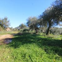 Land plot in Greece