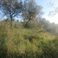 Land plot in Greece