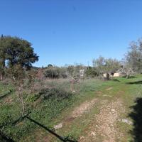Land plot in Greece
