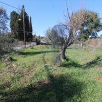 Land plot in Greece