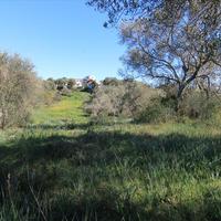 Land plot in Greece