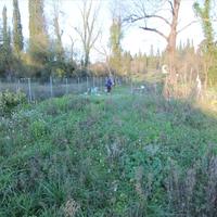 Land plot in Greece