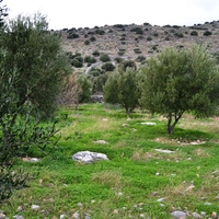 Land plot in Greece