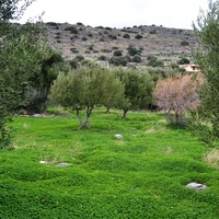Land plot in Greece