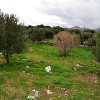 Land plot in Greece