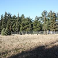 Земельный участок в Греции, 5500 кв.м.