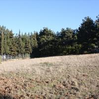 Земельный участок в Греции, 5500 кв.м.