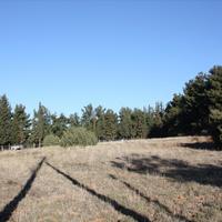 Земельный участок в Греции, 5500 кв.м.