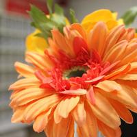 Отель (гостиница) в Греции, 3000 кв.м.