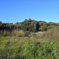 Земельный участок в Греции