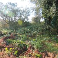 Земельный участок в Греции