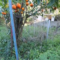 Other in Greece, 85 sq.m.