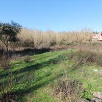 Land plot in Greece