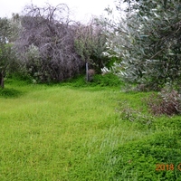 Land plot in Greece