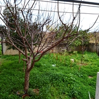 Business center in Greece, 1050 sq.m.