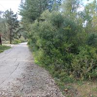 Земельный участок в Греции