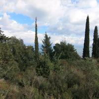 Земельный участок в Греции