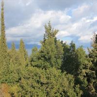 Земельный участок в Греции