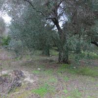 Земельный участок в Греции