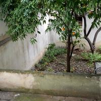 Квартира в Греции, 80 кв.м.