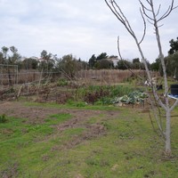 Land plot in Greece