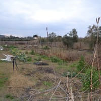 Land plot in Greece