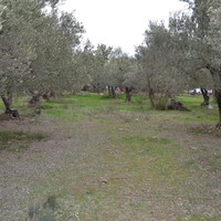 Land plot in Greece
