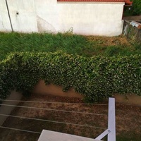 Другое в Греции, 350 кв.м.