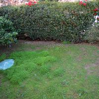 Таунхаус в Греции, 200 кв.м.