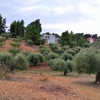 Land plot in Greece