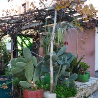 Другое в Греции, 96 кв.м.