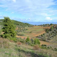 Land plot in Greece