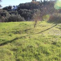 Land plot in Greece