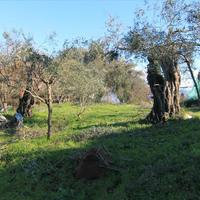 Land plot in Greece