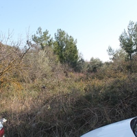 Земельный участок в Греции, 500 кв.м.