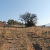 Land plot in Greece, 1350 sq.m.